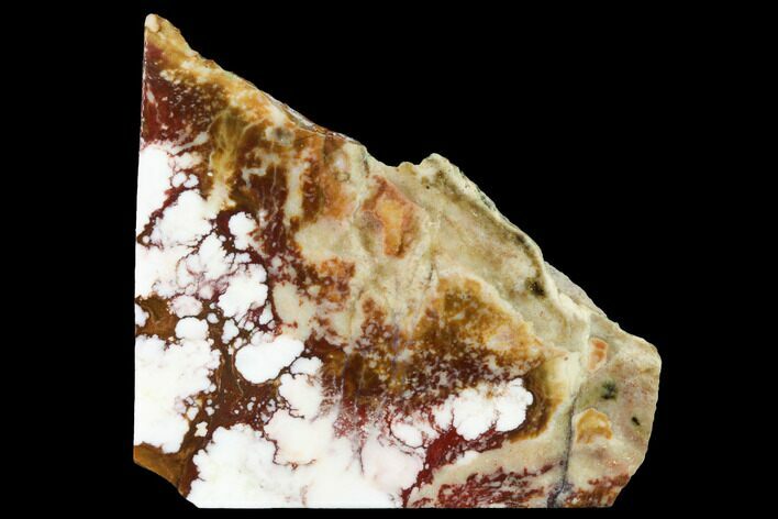 Polished Wild Horse Magnesite - Arizona #167401